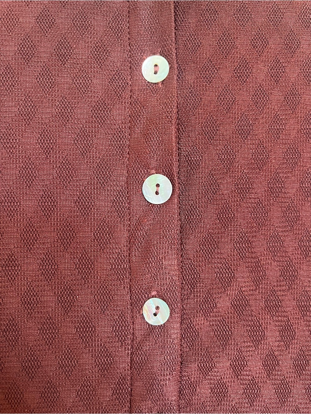 Motel Rocks Brown Sheer Button-Down Top - Picture 5 of 5